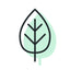Leaf icon with a green background