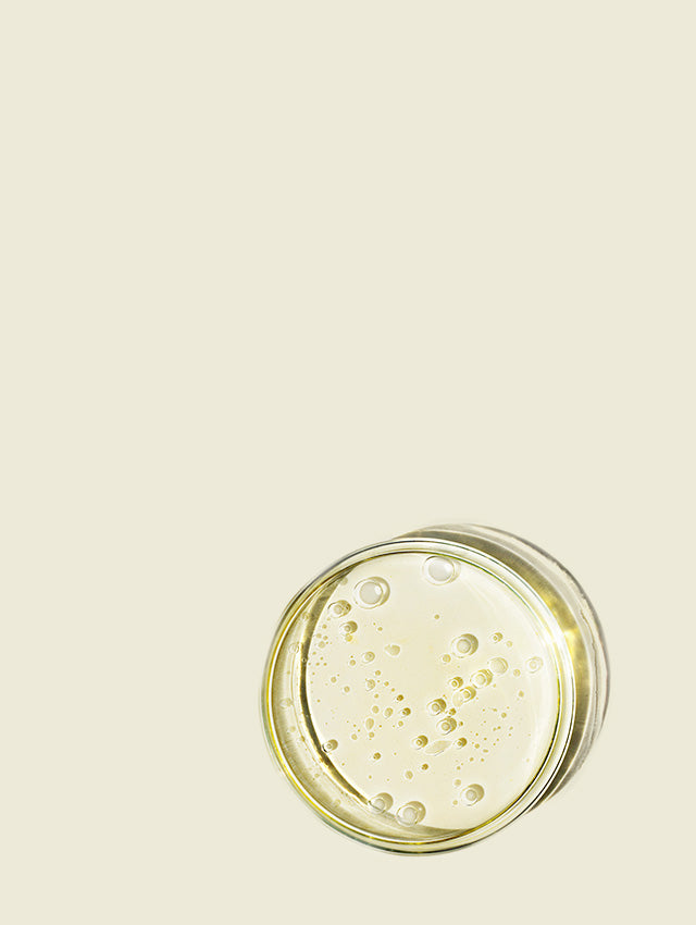 Vitamin D3 Ingredient