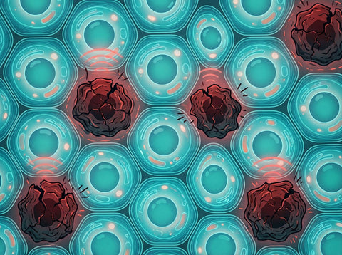 Vitality Eleven #8: Cellular Senescence