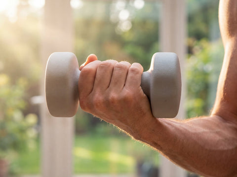 Your Bones Are Talking to Your Brain