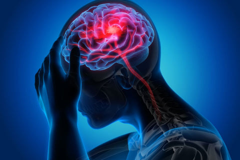 Your Brain's Energy Crisis