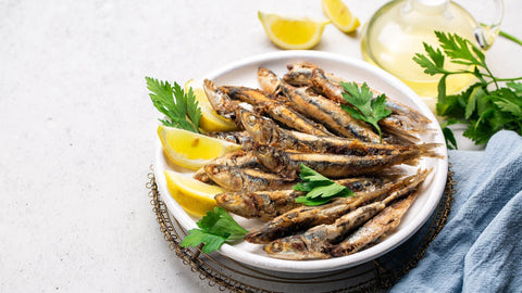 Anchovies: A Small Fish with Big Benefits
