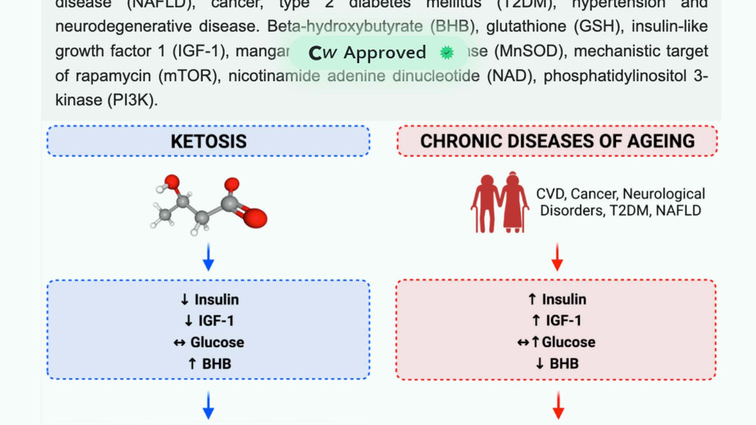 Bio-Hacking Better Health—Leveraging Metabolic Biochemistry to Maximis ...
