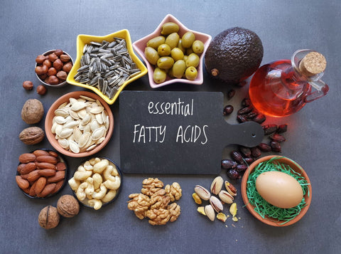 Plant-Powered Omega-3