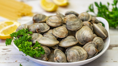 Clams: A Heart-Healthy, Nutrient-Dense Seafood