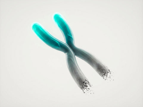 Vitality Eleven #9: Telomere Attrition