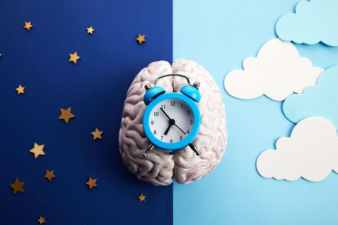Your Biological Clock