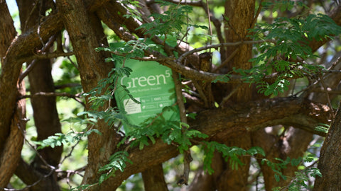 Green⁵: The Daily Nutrition Revolution