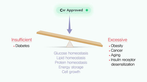 Hyperinsulinemia in Obesity, Inflammation, and Cancer
