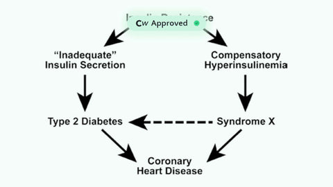 Insulin Resistance and Coronary Heart Disease in Nondiabetic Individuals