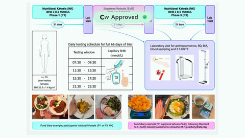 Ketosis Suppression and Ageing (KetoSAge): The Effect of Suppressing Ketosis on Biomarkers Associated with Ageing, HOMA-IR, Leptin, Osteocalcin, and GLP-1, in Healthy Females