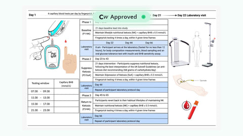 Ketosis Suppression and Ageing (KetoSAge): The Effects of Suppressing Ketosis in Long Term Keto-Adapted Non-Athletic Females