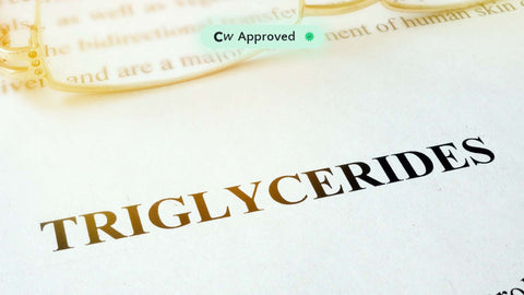 What Are Triglycerides?
