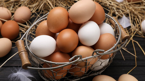 Are Eggs Healthy?