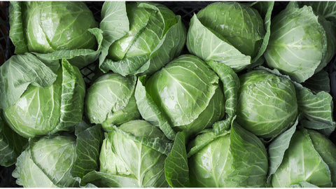 Cabbage: A Versatile Veggie to Boost Your Health