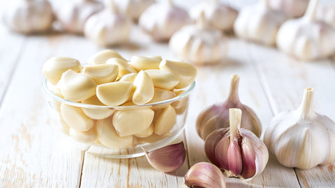 Garlic - The Pungent Dynamo of Health