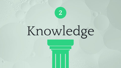 2. Knowledge