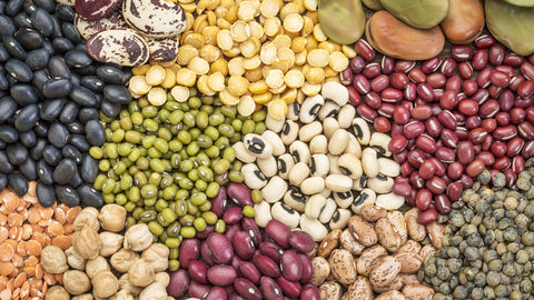 Legumes and Beans: A Nutrient Powerhouse