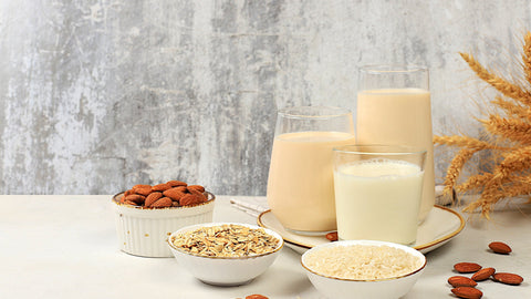 Milk Alternatives: A Healthy and Versatile Choice