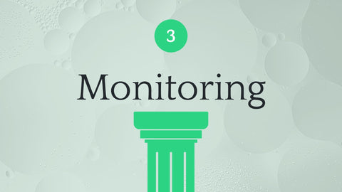 3. Monitoring