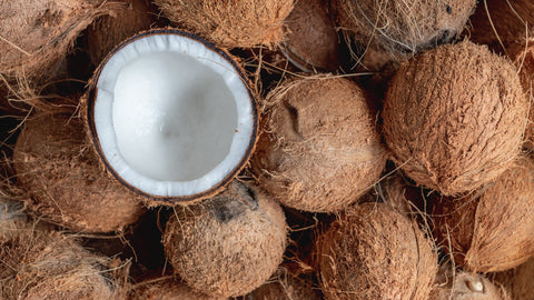 The Versatile Coconut: From Tree to Table