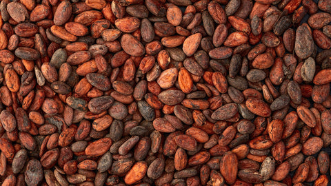 Understanding Cacao and Cocoa: Choosing Healthier Chocolate for Your Sugar Tolerance Score