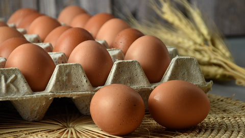 Understanding Egg Labels and Packaging Claims