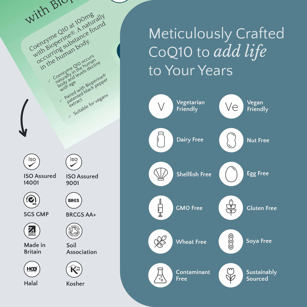 Coenzyme Q10 (CoQ10)