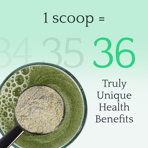 Green⁵: Daily Nutrition Powder