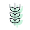 Icon of a wheat stalk with a green leaf on a white background