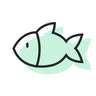 Simple black outline of a fish on a light green background