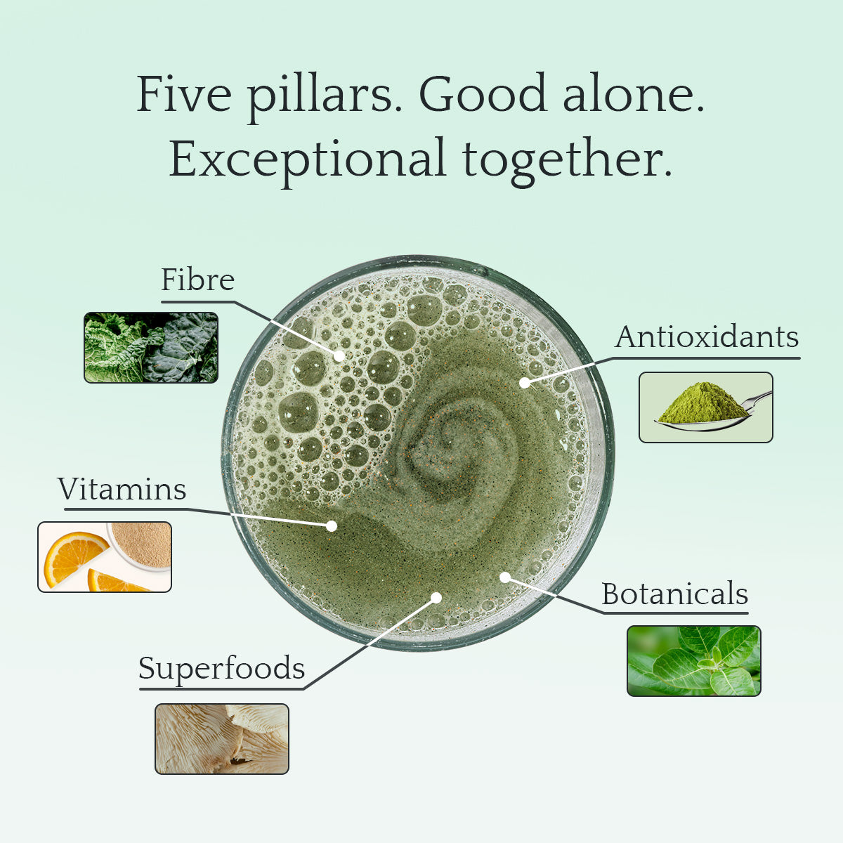 Green⁵: Daily Nutrition Powder