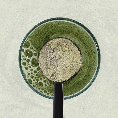 Clubwell spoon with Green5 powder over a green liquid in a glass container on a light background