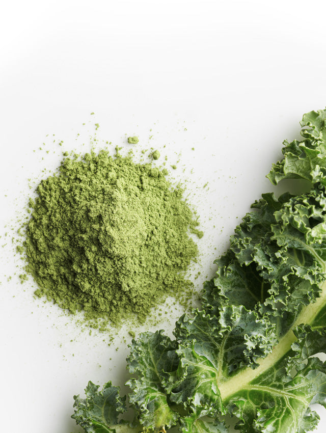 Kale Powder Ingredient