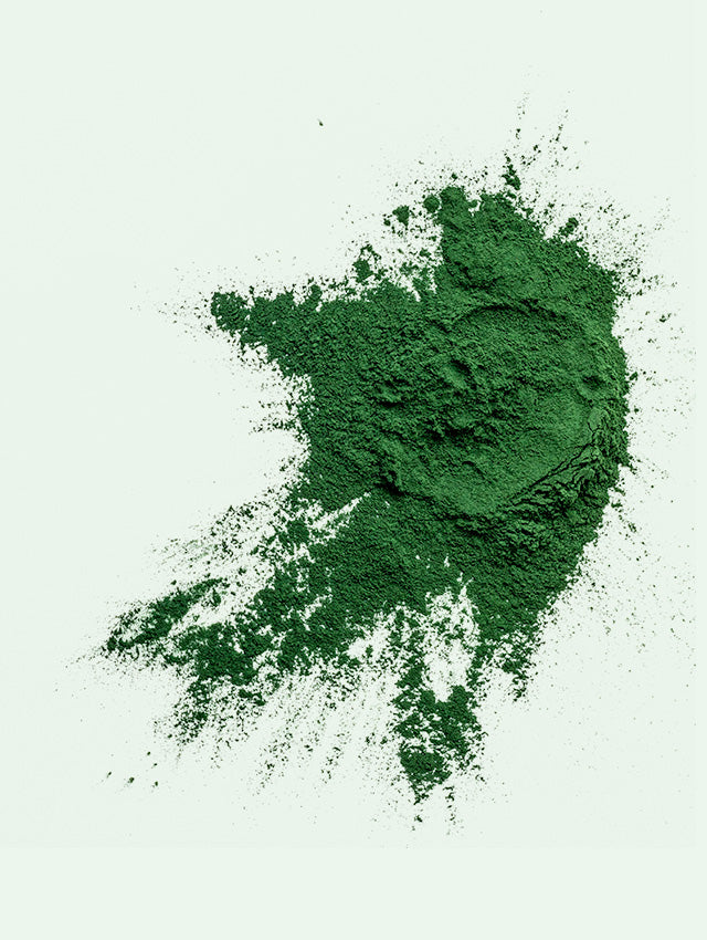 Organic Spirulina Powder Ingredient