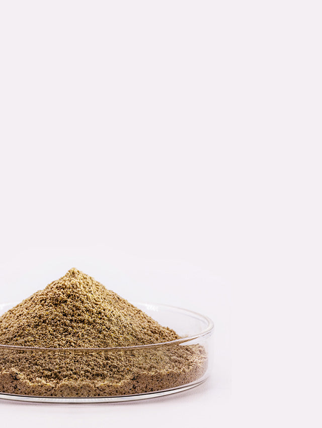 Vitamin B1 Ingredient