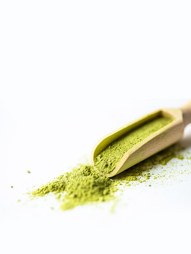 Vitamin B9 Ingredient