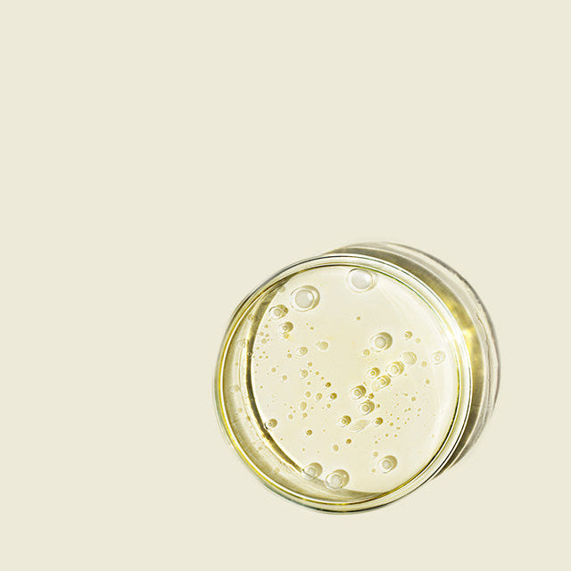 Round container with a lid on a beige background